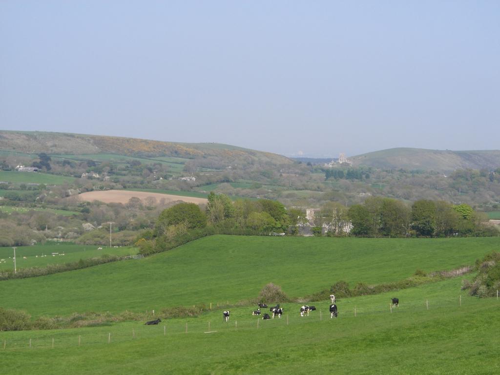 Bradle Farmhouse Corfe Castle Exterior photo